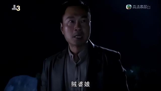 香港电视剧使徒行者有几部（近20年最受认可的10部港剧）(90)
