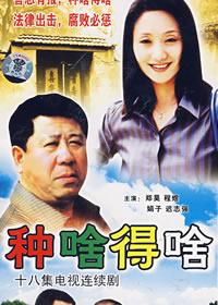 当前有哪些好看的农村题材电视剧（这45部农村题材电视剧）(14)