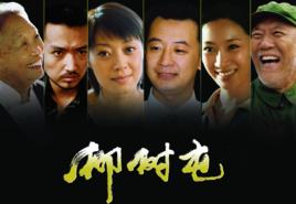 当前有哪些好看的农村题材电视剧（这45部农村题材电视剧）(30)