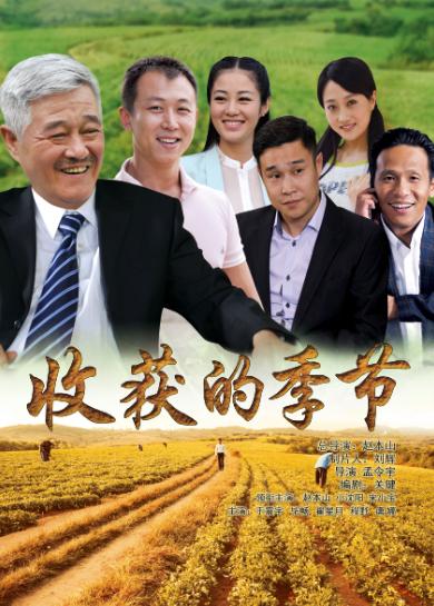 当前有哪些好看的农村题材电视剧（这45部农村题材电视剧）(43)