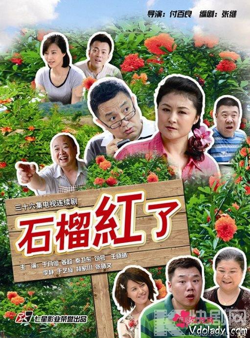 当前有哪些好看的农村题材电视剧（这45部农村题材电视剧）(41)