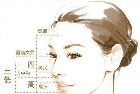 五官是指哪五官｛画画中的｝
