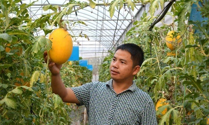 瓜娃子是啥意思