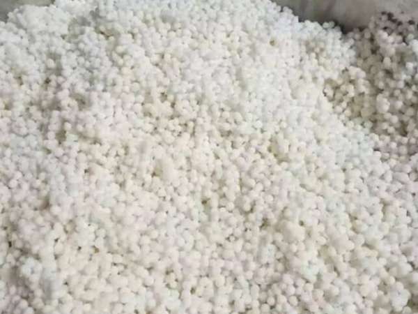 西米粽子到底要不要泡,包西米粽子西米要泡水吗图9