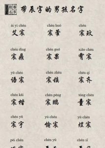 ​玥辰名字的寓意,马玥辰名字的寓意怎样