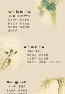 ​植物的诗歌，和植物有关的诗歌？