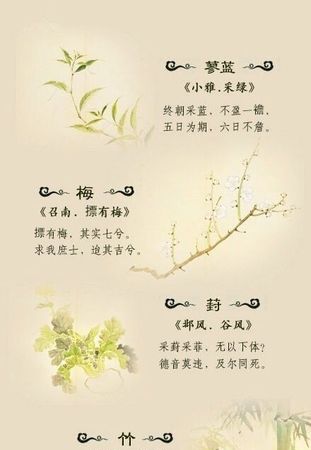 你知道有哪些与植物有关的诗歌吗