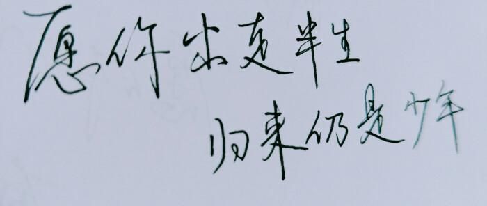 愿你走出半生归来仍是少年