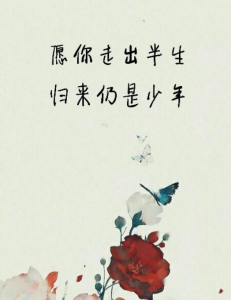​愿你出走半生归来仍是少年是什么意思,愿你走出半生归来仍是少年