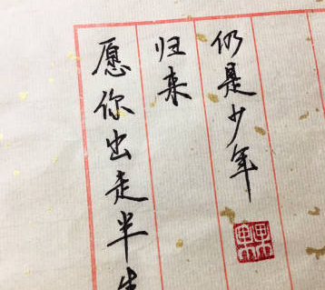 愿你出走半生归来仍是少年是什么意思,愿你走出半生归来仍是少年图3
