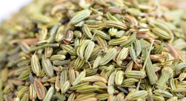 小茴香和孜然的区别,小茴香籽和孜然的区别图3