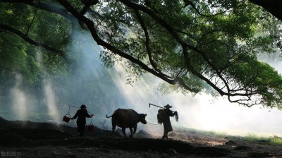 ​陶渊明的性格特点及分析（陶渊明是一个什么样的人物）