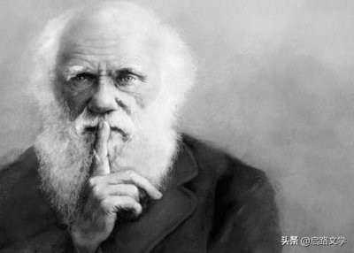 ​物竞天择适者生存是谁说的（怎么解释达尔文的物竞天择）