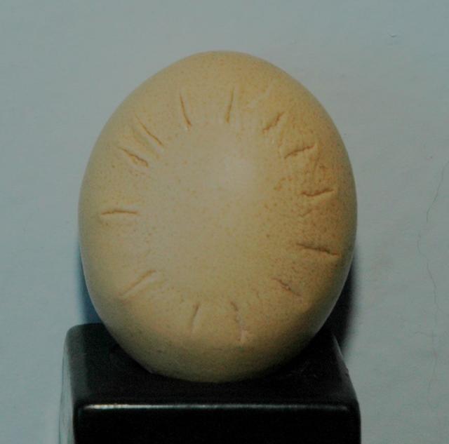 哈雷彗星历史记录（为您揭开历史上最著名的彗星）(7)