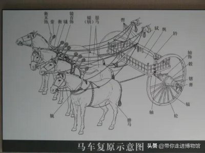​古代马车的详细构造（每日一识古代马车构件轙）