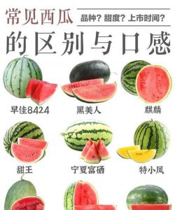 ​西瓜的种类有哪几种,西瓜分为哪几个品种 西瓜有什么品种呢