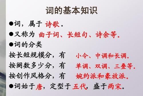 唐诗的魅力和宋词的魅力个字有什么特点