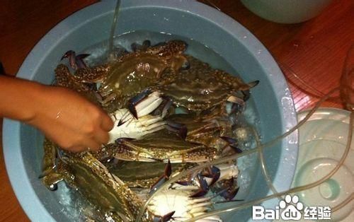 螃蟹的保存方法使它不死?