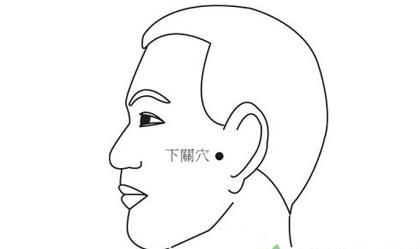 哪个部门可以查车的位置