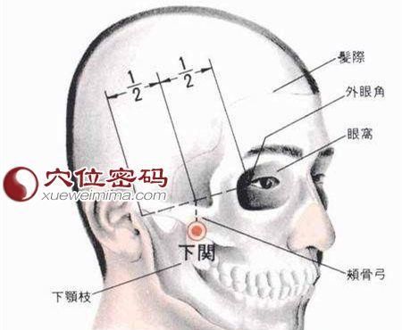 人体头部23个穴位高清图解