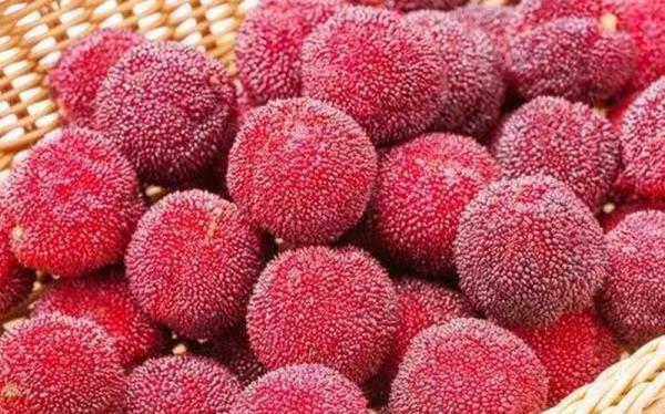 杨梅怎么清洗,买回来的杨梅为了食用更安全是真的吗图9