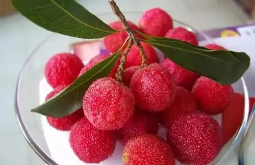 杨梅怎么清洗,买回来的杨梅为了食用更安全是真的吗图2
