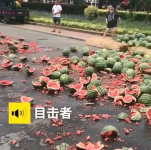 ​西瓜摔裂了还能吃,西瓜摔裂了马上吃味道会变甜吗
