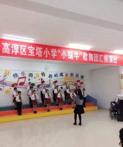 ​高淳区宝塔小学,高淳碧桂园公交车路线