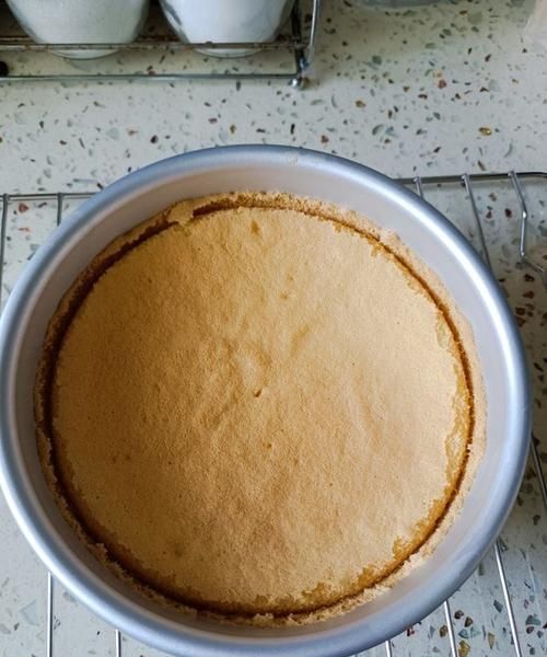 美的烤箱32升能烤十寸蛋糕坯子吗