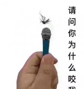 ​下雨天蚊子去哪里了,下雨天有蚊子吗