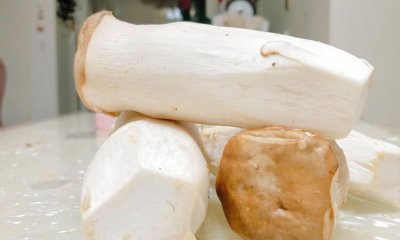 ​杏鲍菇放冰箱能放多久,杏鲍菇放冰箱能放多久