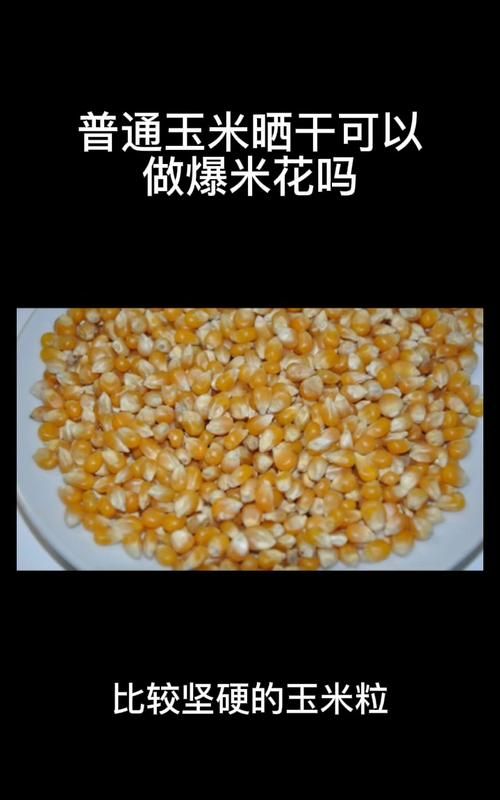 为什么只有买的玉米可以爆花