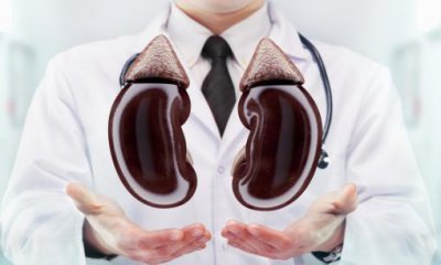 ​出现4个症状可能是你肾不好 肾气不足的补肾食疗方