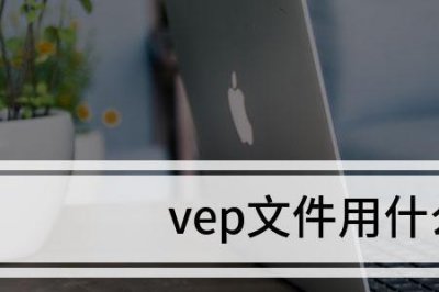 ​vep是什么类型的文件