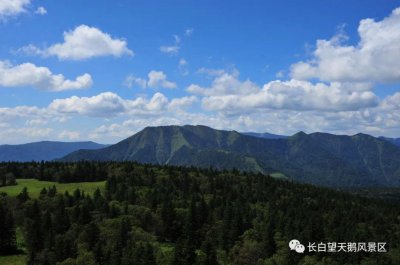 ​望天鹅风景区的经典景致（中篇）