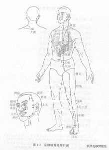 ​足阳明胃经歌诀