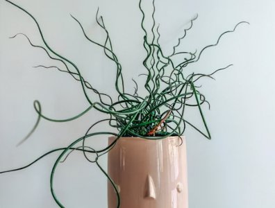 ​生活中的科学小常识有哪些（日常生活中有趣的科学小知识）