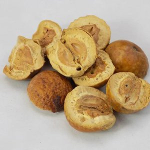 ​炒川楝子 中药古今研究：川楝子
