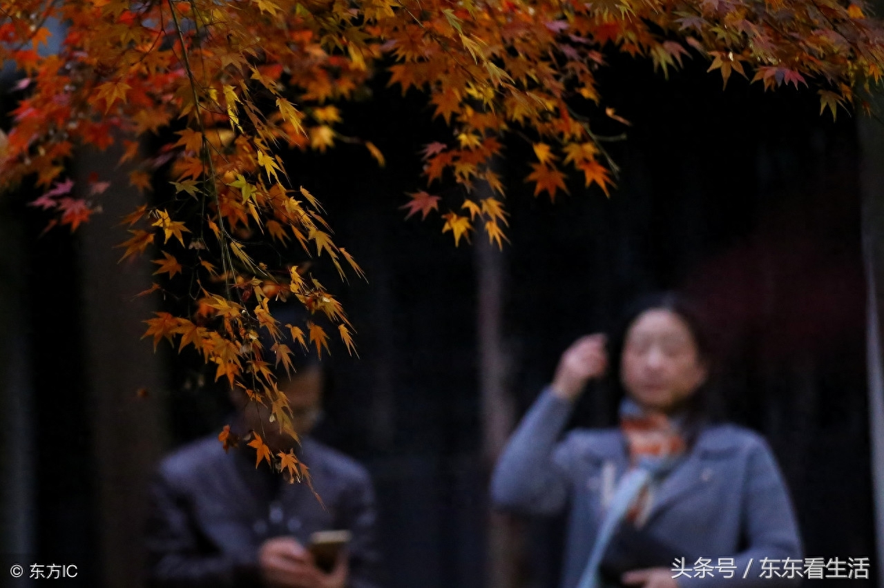 有“江海第一山”的美誉，南通狼山