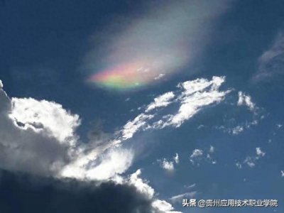 ​友谊是什么