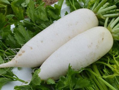​如何制作蜂蜜萝卜水