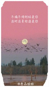 ​最近很流行的微信经典句：不偏不倚刚好是你，应时应景恰逢是你