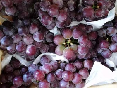 ​如何做葡萄酒？8个步骤简单完成
