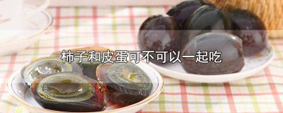 ​皮蛋和柿子可以一起吃吗 柿子能和皮蛋一起吃吗