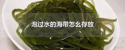 ​海带可以放水里泡多久不会坏 泡好的海带怎么保存不会烂