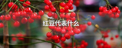 ​红豆古文叫什么 红豆有何特殊含义
