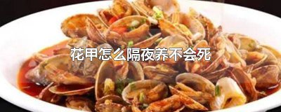 ​花甲养一夜会死吗视频下载 花甲可以养一夜吗