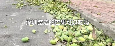 ​深圳马路上的芒果可以吃吗 深圳路边树上的芒果,能吃吗?