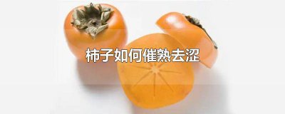 ​柿子如何催熟去涩变软 柿子如何催熟去涩,百度百科
