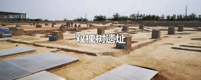 ​双槐树遗址属于什么文化特色 双槐树遗址为什么叫双槐树